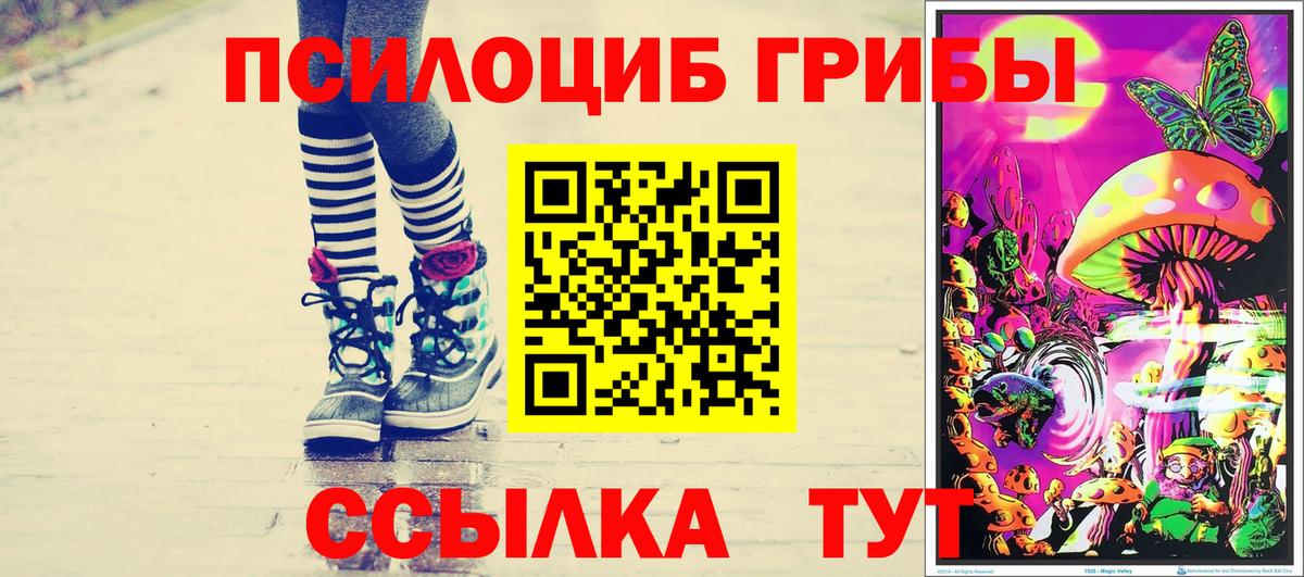 Галлюциногенные грибы GOLDEN TEACHER Кашира