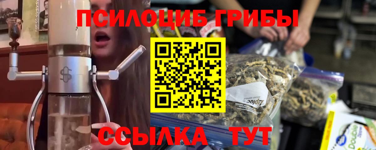 Кашира  Псилоцибиновые грибы мицелий  Вход с VPN 